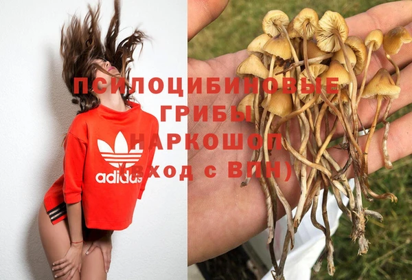 spice Кинешма