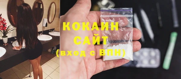 шишки Козельск