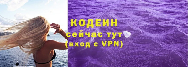 СК Кодинск