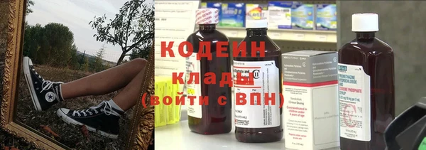 шишки Козельск