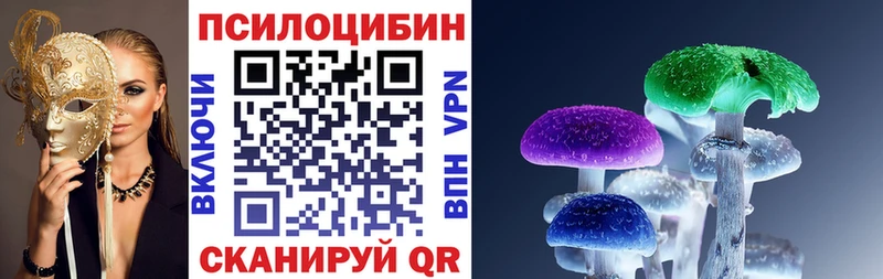 Купить  Волжск  Псилоцибиновые грибы мицелий 